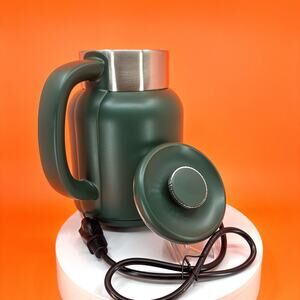 DmofwHi Electric Kettle with Temperature Control